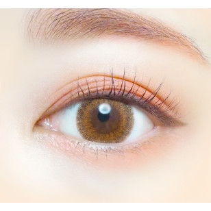 EverColor1day – LUQUAGE Foggy Chocolate 日拋 每盒10片